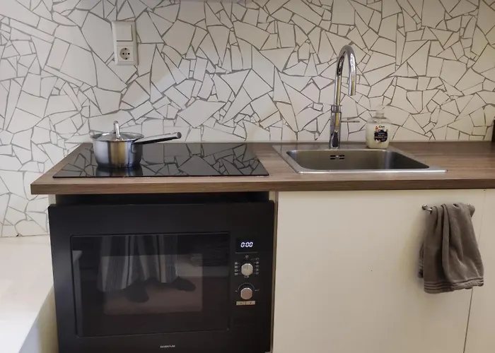 Sfeervolle In Historisch Vlakbij Station Проживание в семье *